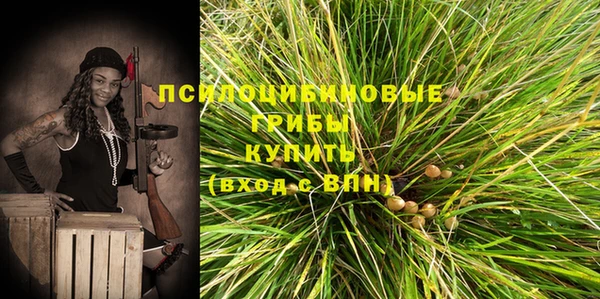 гашик Наволоки