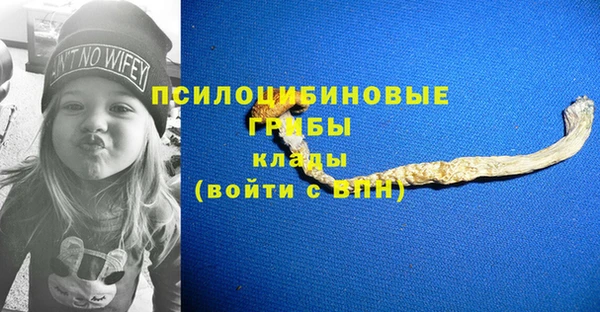 мдпв Нефтегорск