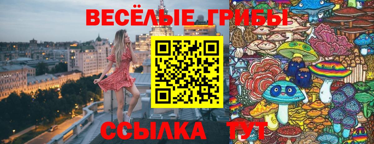 Абакан  Галлюциногенные грибы GOLDEN TEACHER  Вход с VPN 