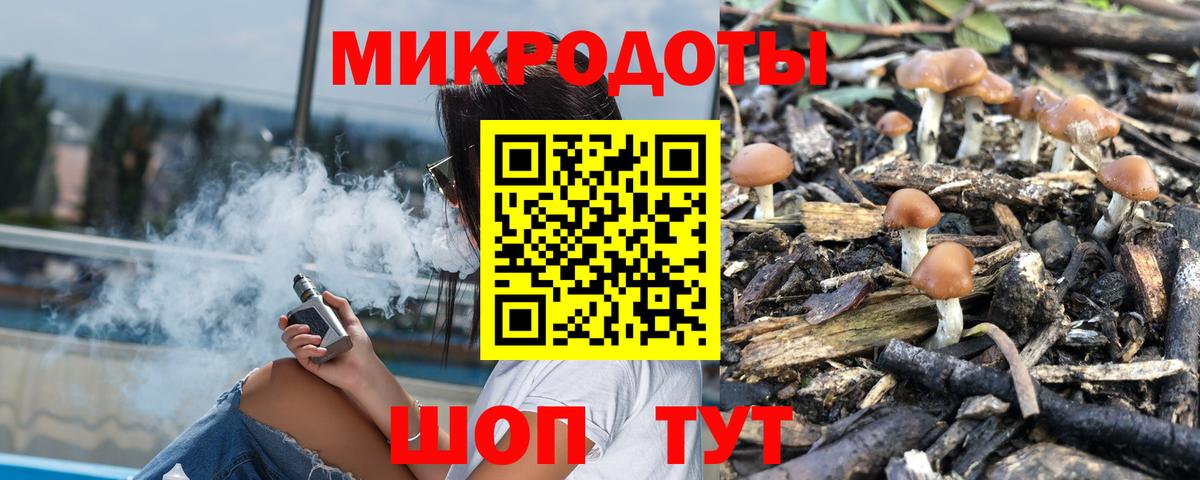 Галлюциногенные грибы MAGIC MUSHROOMS  Абакан 